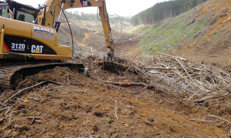 Clearing trees